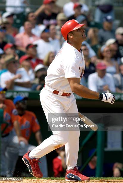 Albert Pujols of the St. Louis Cardinals bats during a Major League Baseball spring training game on March 4, 2004 at Roger Dean Stadium in Jupiter,...