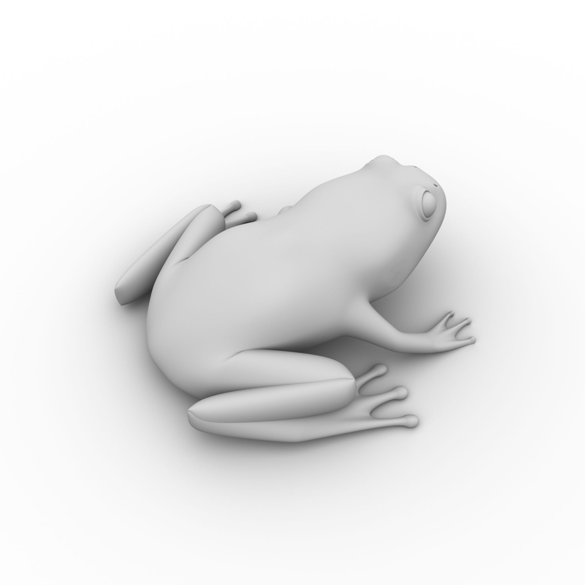Frog on white background Frog on white background