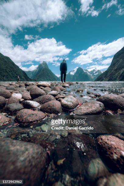 lonely man in milford sound, new zealand, man thinking, reflecting, landscapes - nuova zelanda stock pictures, royalty-free photos & images