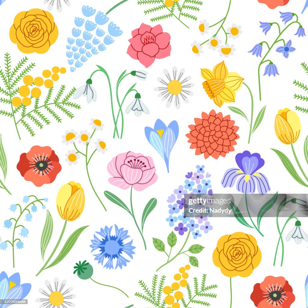 Spring Time Floral Pattern Spring Flower Seamless Pattern Spring Floral Background High-Res Vector ...
