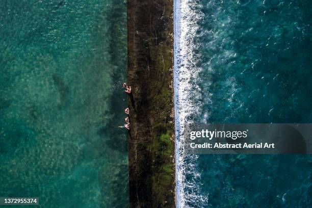 five people in a tidal pool seen from directly above, tenerife, spain - standing water stock-fotos und bilder