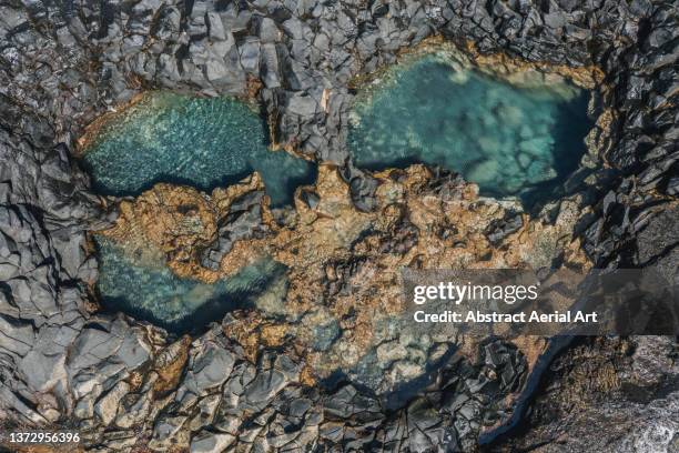 coastal rock pool seen from directly above, tenerife, spain - 潮池 個照片及圖片檔