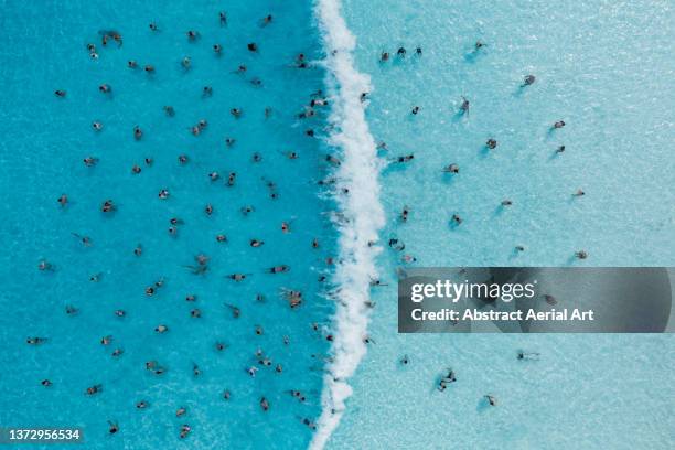 aerial image looking down on a large group of people enjoying a wave pool, tenerife, spain - aerial pool stock-fotos und bilder