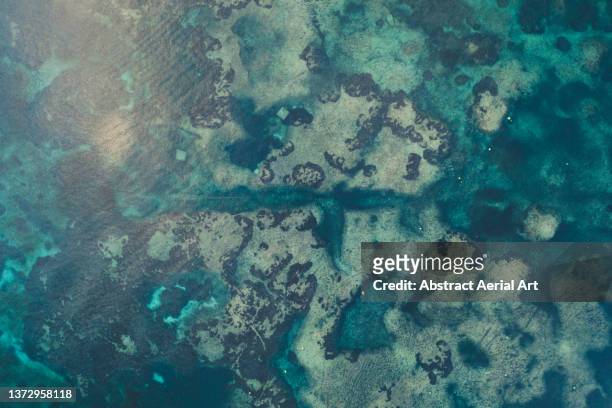 drone shot looking down to the ocean floor, santa ponsa, majorca, spain - mar mediterráneo fotografías e imágenes de stock
