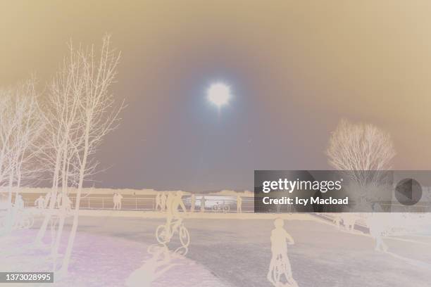 sunny day in the grand large park, a 160-hectare body of water (infrared filter) - infrared lamp stock pictures, royalty-free photos & images