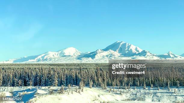 alaska -skyline - wrangle st. elias mountains - sanford stock pictures, royalty-free photos & images