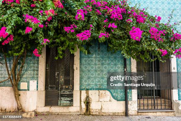 bougainvillea growing on a building in old town of lisbon - portugal tiles stockfoto's en -beelden