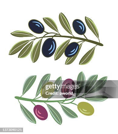 Olive background . Olive background .
