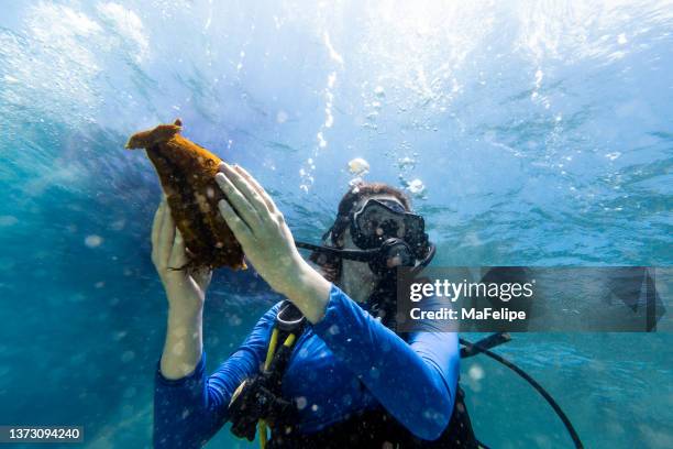 scubadiver teenage girl holding a sea clam - scuba diving girl stockfoto's en -beelden