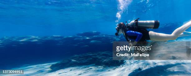adolescente mergulha em mar tropical turquesa claro - scuba diving girl - fotografias e filmes do acervo