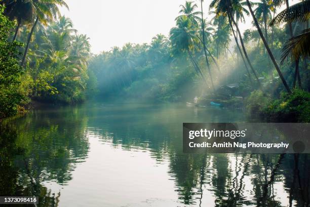 boat-ride through the backwaters of sharavati river - canal interior imagens e fotografias de stock