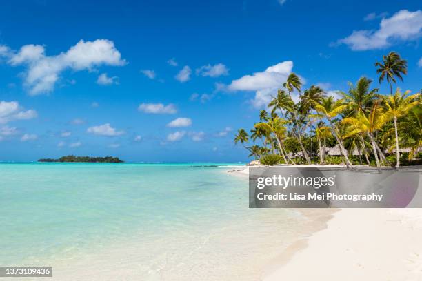 beautiful beach in bora bora - bora bora beach stock pictures, royalty-free photos & images