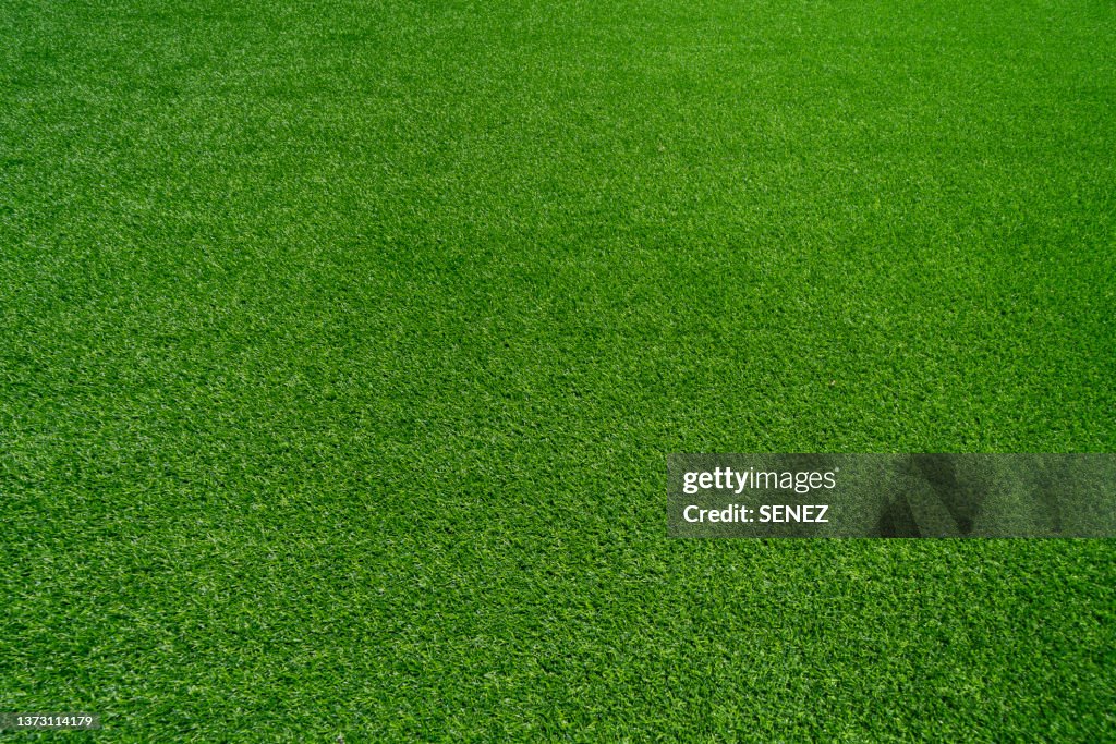 Green grass background