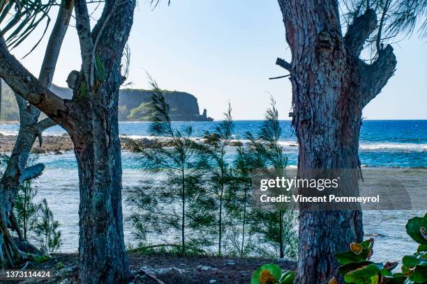 Uri Runtu Nz Rurutu Island Photos and Premium High Res Pictures - Getty Images