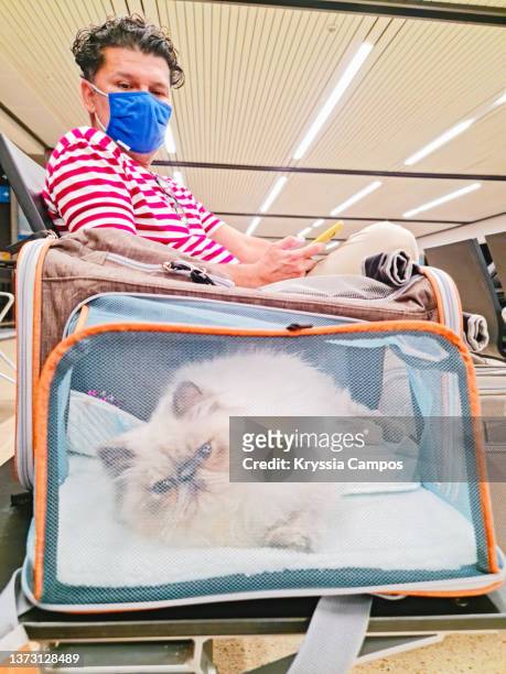 man traveling with his pet waits in the airport boarding lounge - himalayan cat stock pictures, royalty-free photos & images