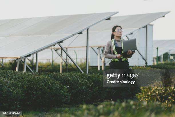 asian female engineer working in solar power station - industry nature stock-fotos und bilder