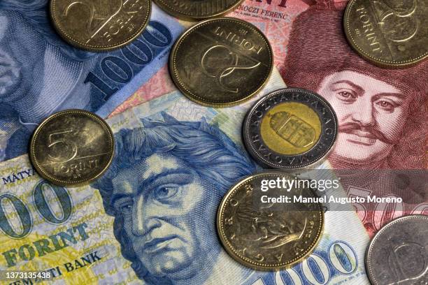 hungarian currency: forint banknotes and coins - hungarian culture bildbanksfoton och bilder