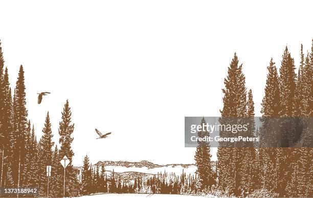driving through colorado - steamboat springs stock illustrations