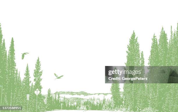 driving through colorado - colorado vector stock illustrations