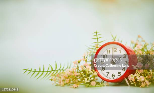 spring time. red clock with bouquet of pink spring flowers and greenery. daylight savings concept - daylight saving time foto e immagini stock