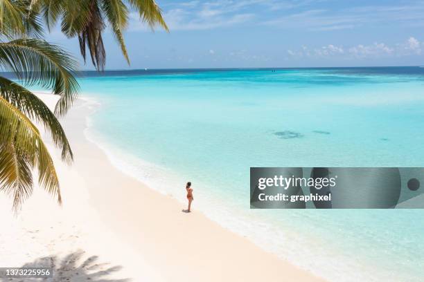 hermosa mujer mirando el océano bajo la palmera - islas del índico fotografías e imágenes de stock