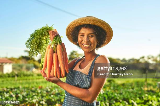 shot of a young woman holding a bunch of freshly picked carrots while working on a farm - happy farmers stock pictures, royalty-free photos & images