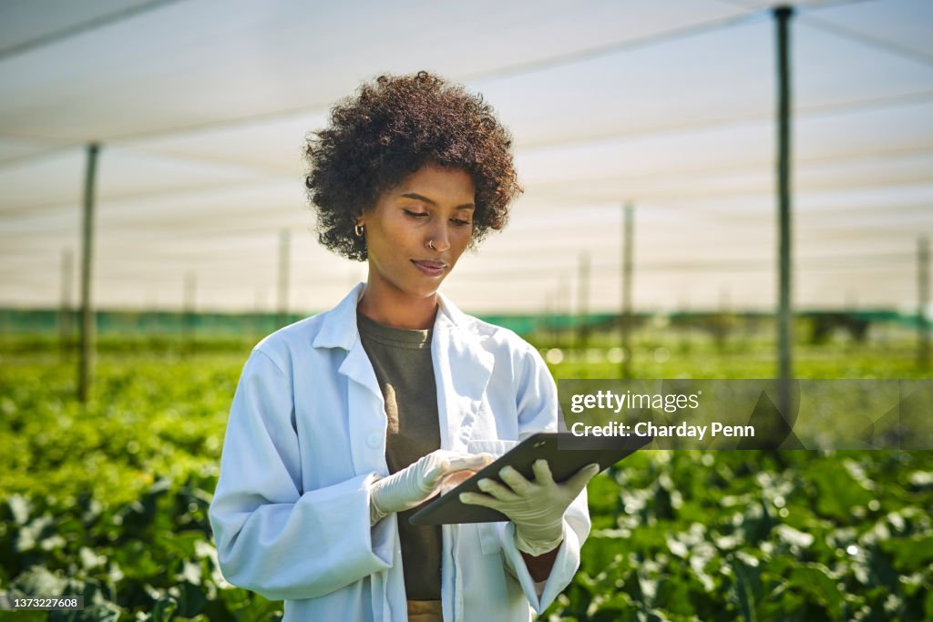Tiro jovem cientista usando um tablet digital enquanto trabalhava com culturas em uma fazenda