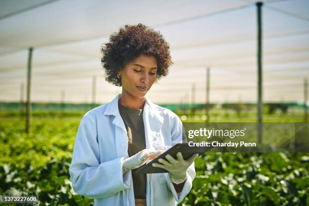 tiro jovem cientista usando um tablet digital enquanto trabalhava com culturas em uma fazenda - agriculture - fotografias e filmes do acervo