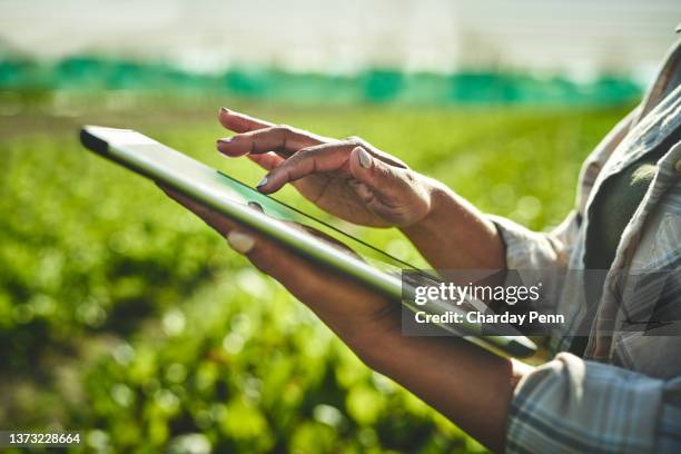 aufnahme einer nicht erkennbaren frau mit einem digitalen tablet bei der arbeit auf einem bauernhof - cultivate stock-fotos und bilder