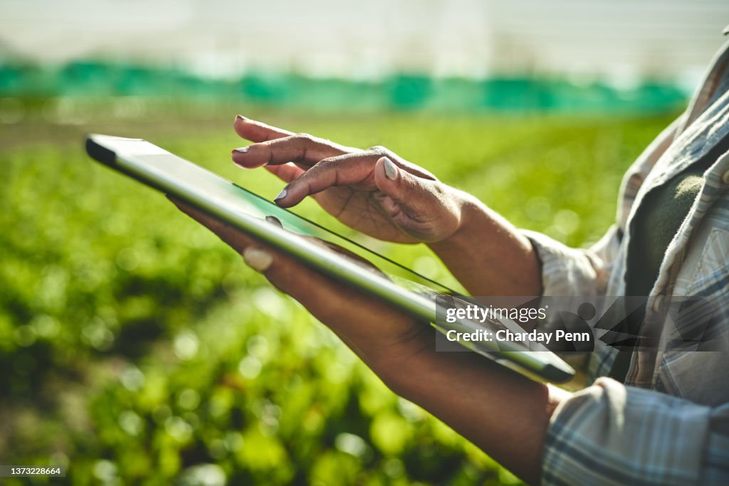 Tiro de uma mulher irreconhecível usando um tablet digital enquanto trabalhava em uma fazenda