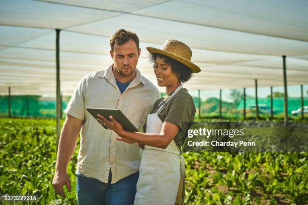 aufnahme eines jungen mannes und einer jungen frau mit einem digitalen tablet, während sie auf einem bauernhof arbeiten - crop plant stock-fotos und bilder