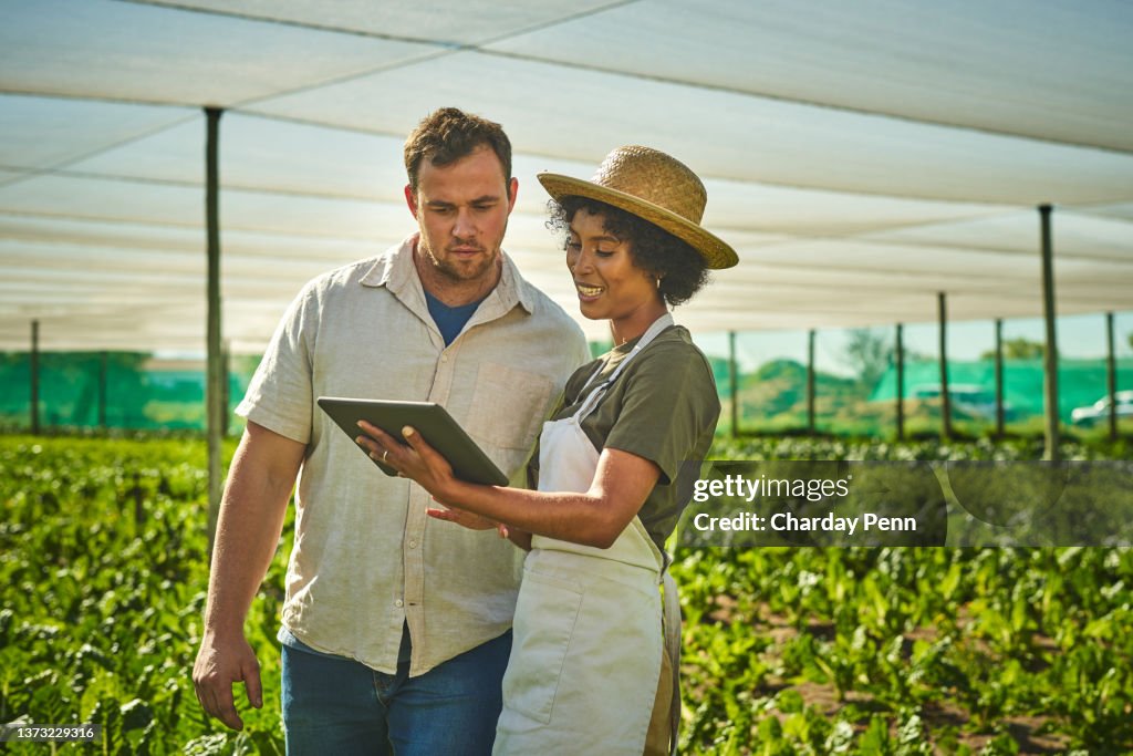 Shot of a young man and woman using a digital tablet while working on a farm