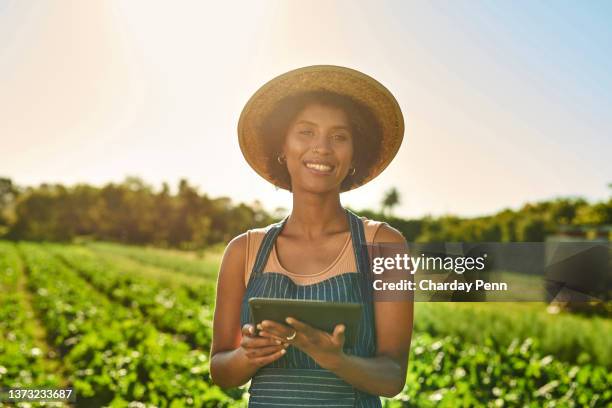 tiro de uma jovem usando um tablet digital enquanto trabalhava em uma fazenda - agricultura - fotografias e filmes do acervo