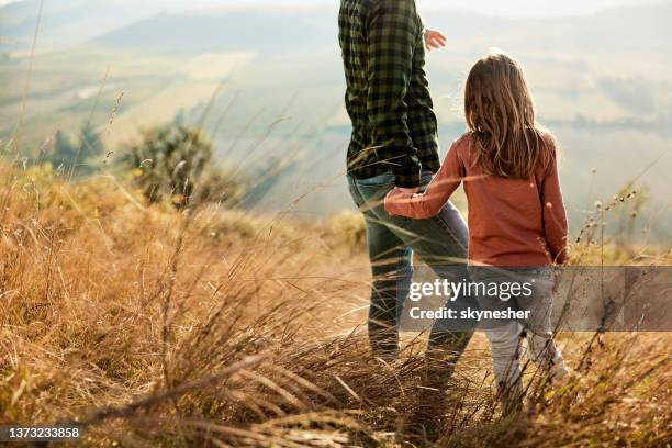 back view of a small girl and her single father on a hill. - timothy grass stock pictures, royalty-free photos & images