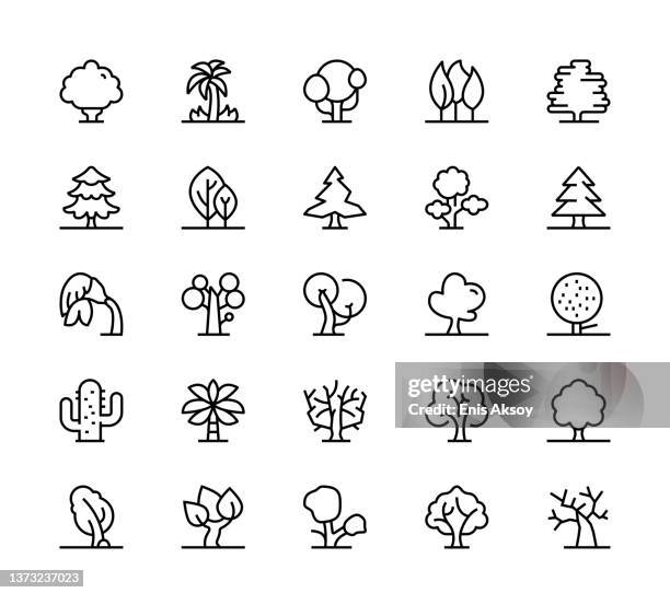 tree icons - forest icon stock illustrations