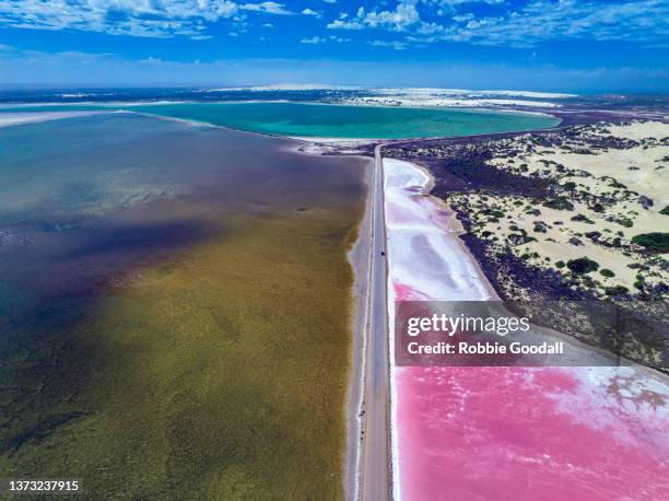 aerial view of the natural patterns of the salty pink lake macdonnell in south australia - south australia stock pictures, royalty-free photos & images