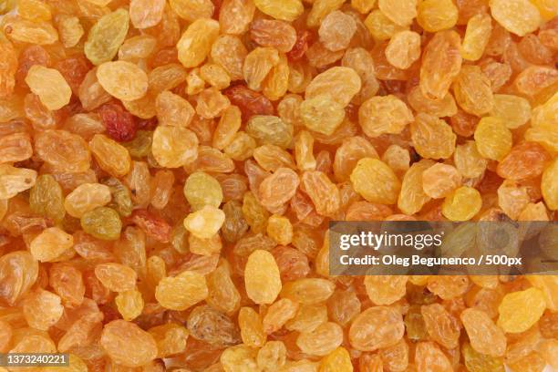 Shrivelled Rasin Shrivel Photos and Premium High Res Pictures - Getty Images