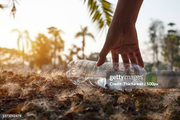 close up hand picking up clear plastic bottle water drink - toxicodendron diversilobum stock pictures, royalty-free photos & images
