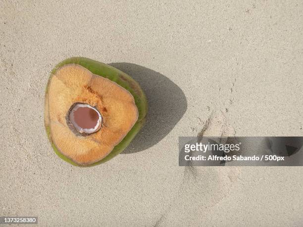 cozumel vibes,high angle view of coconut on sand,mexico - retrato familia ストックフォトと画像