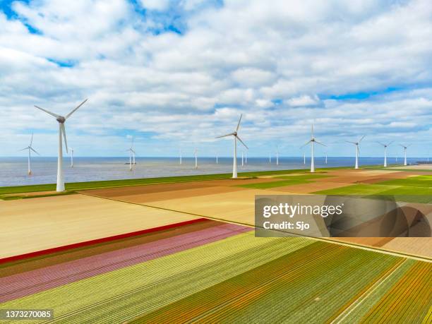 tulips growing in agricutlural fields with wind turbines in the background during springtime seen from above - sjoerd van der wal or sjo nature stockfoto's en -beelden