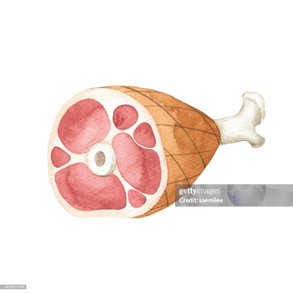 Watercolor Ham