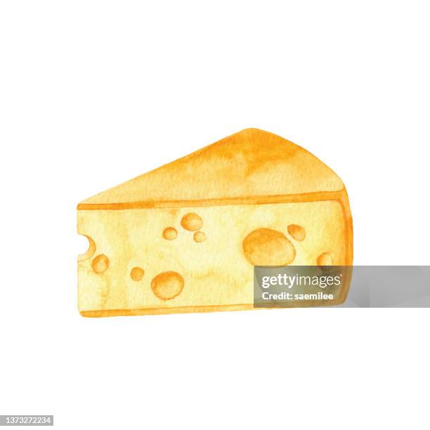 stockillustraties, clipart, cartoons en iconen met watercolor cheese - cheddar cheese