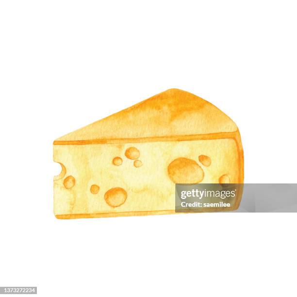 ilustrações, clipart, desenhos animados e ícones de queijo aquarela - queijo