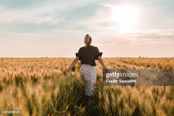 freedom in a field - prairie stockfoto's en -beelden