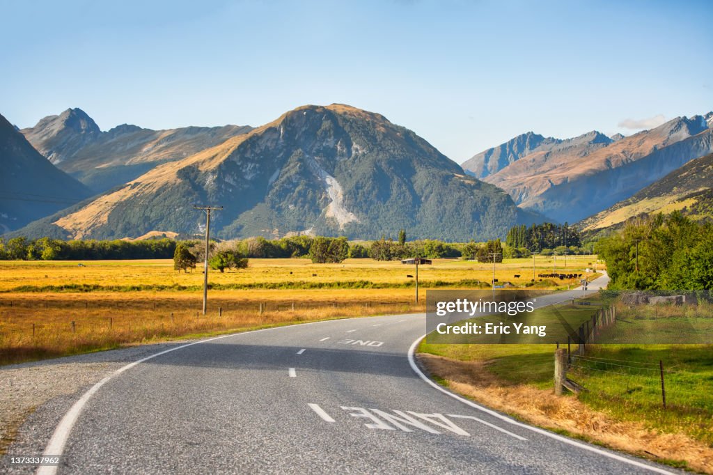 Beautiful Country road at New Zealand