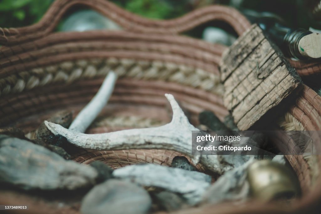 Animal bones over a tray this is a witches kitchen utensils