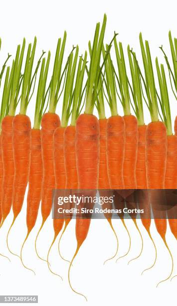 carrots repeatedly, pattern on white background - carrots white background stockfoto's en -beelden