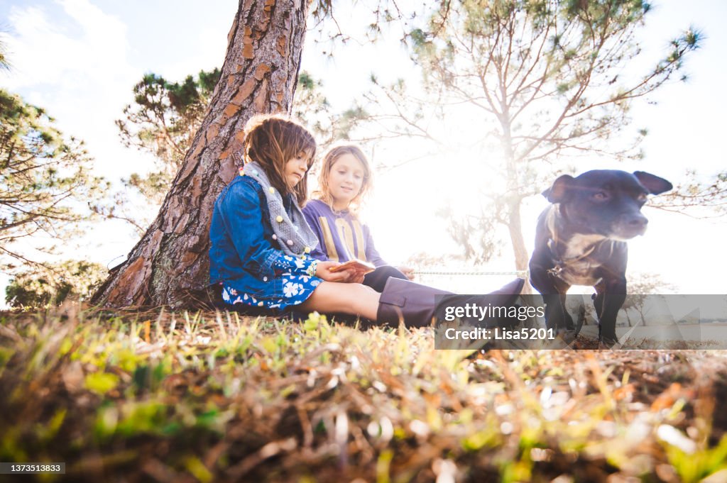 Deux filles assises sous un arbre à l’extérieur avec un mignon petit chien de compagnie de race mixte, compagnie, amitié, nature et enfance
