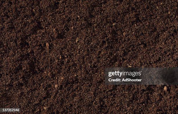 compost background - peat stock pictures, royalty-free photos & images