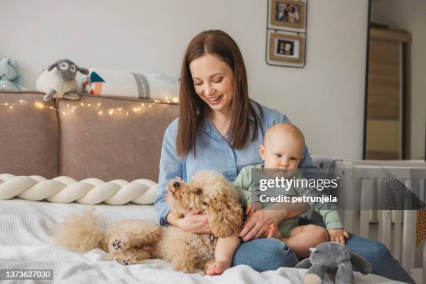 mutter und baby zu hause mit hund - baby hund innenaufnahme stock-fotos und bilder